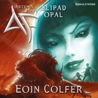 Produktbild: Slipad opal