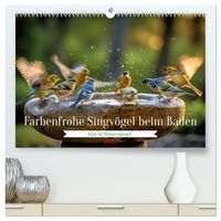 Produktbild: Farbenfrohe Singv&ouml;gel beim Baden (hochwertiger Premium Wandkalender 2027 DIN A2 quer), Kunstdruck in Hochglanz