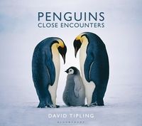 Produktbild: Tipling, D: Penguins