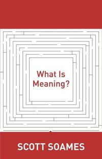 Produktbild: What Is Meaning?
