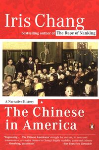 Produktbild: The Chinese in America