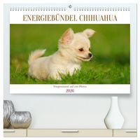 Produktbild: Enegieb&uuml;ndel Chihuahua - Temperament auf vier Pfoten (hochwertiger Premium Wandkalender 2026 DIN A2 quer), Kunstdruck in Hochglanz