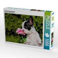 Produktbild: CALVENDO Puzzle Franz&ouml;sische Bulldogge | 1000 Teile Lege-Gr&ouml;&szlig;e 64x48cm Foto-Puzzle f&uuml;r gl&uuml;ckliche Stunden