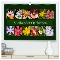 Produktbild: Vielfalt der Orchideen (hochwertiger Premium Wandkalender 2026 DIN A2 quer), Kunstdruck in Hochglanz