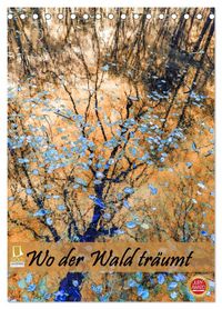 Produktbild: Wo der Wald tr&auml;umt (Tischkalender 2027 DIN A5 hoch), CALVENDO Monatskalender