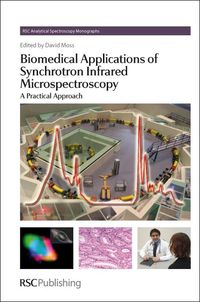 Produktbild: Biomedical Applications of Synchrotron Infrared Microspectroscopy