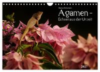 Produktbild: Agamen - Echsen aus der Urzeit (Wandkalender 2027 DIN A4 quer), CALVENDO Monatskalender