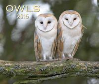 Produktbild: Owls