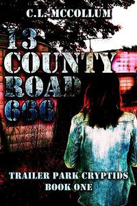Produktbild: 13 County Road 666