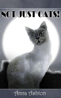 Produktbild: Not Just Cats!