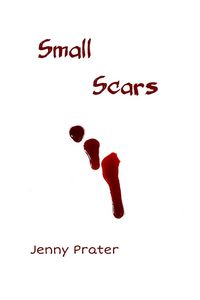 Produktbild: Small Scars