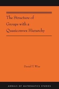 Produktbild: The Structure of Groups with a Quasiconvex Hierarchy