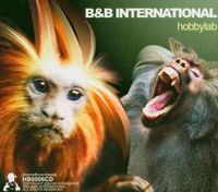 Bild vom Artikel B&B International: Hobbylab vom Autor B&B International