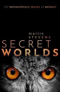 Produktbild: Secret Worlds