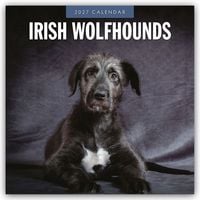 Produktbild: Irish Wolfhounds &ndash; Irischer Wolfshund 2027 &ndash; 16-Monatskalender