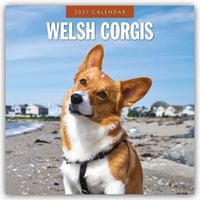 Produktbild: Welsh Corgis &ndash; Welsh Corgi 2027 &ndash; 16-Monatskalender