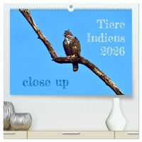 Produktbild: Tiere Indiens close up (hochwertiger Premium Wandkalender 2026 DIN A2 quer), Kunstdruck in Hochglanz