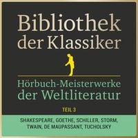 Produktbild: Bibliothek der Klassiker: H&ouml;rbuch-Meisterwerke der Weltliteratur, Teil 3