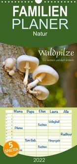 Produktbild: Familienplaner Waldpilze - Gut versteckt und doch entdeckt (Wandkalender 2022 , 21 cm x 45 cm, hoch)