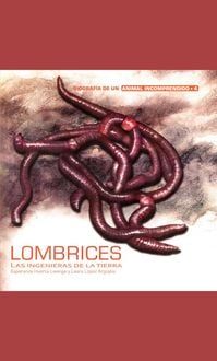 Produktbild: Lombrices