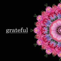 Produktbild: Grateful