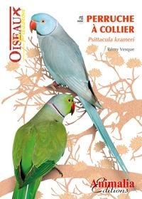 Produktbild: Perruche a collier psittacula