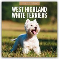 Produktbild: West Highland White Terriers &ndash; West Highland White Terrier &ndash; Westie 2026 &ndash; 16-Monatskalender