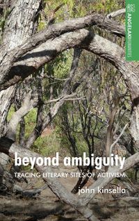 Produktbild: Beyond ambiguity