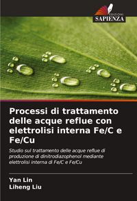 Produktbild: Processi di trattamento delle acque reflue con elettrolisi interna Fe/C e Fe/Cu