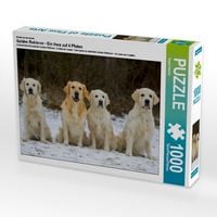Produktbild: CALVENDO Puzzle Ein Motiv aus dem Kalender Golden Retriever - Ein Herz auf 4 Pfoten | 1000 Teile Lege-Gr&ouml;&szlig;e 64x48cm Foto-Puzzle f&uuml;r gl&uuml;ckliche Stunden