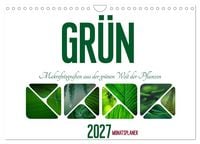 Produktbild: Gr&uuml;n Makrofotografien aus der gr&uuml;nen Welt der Pflanzen als Monatsplaner (Wandkalender 2027 DIN A4 quer), CALVENDO Monatskalender