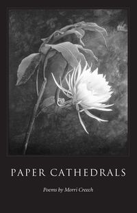 Produktbild: Paper Cathedrals