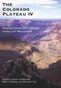 Produktbild: The Colorado Plateau IV