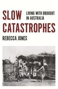 Produktbild: Jones, R: Slow Catastrophes