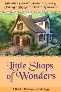Produktbild: Little Shops of Wonders