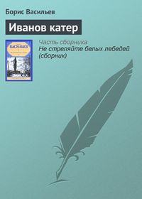 Produktbild: Ivanov kater