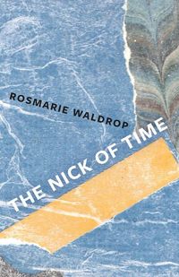 Bild vom Artikel The Nick of Time vom Autor Rosmarie Waldrop