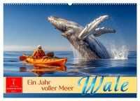 Produktbild: Wale - ein Jahr voller Meer (Wandkalender 2027 DIN A2 quer), CALVENDO Monatskalender