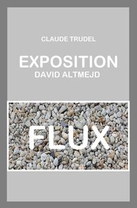 Produktbild: Exposition David Altmejd - Flux