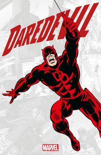Bild vom Artikel Daredevil vom Autor 