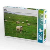 Produktbild: CALVENDO Puzzle Schafe | 1000 Teile Lege-Gr&ouml;&szlig;e 64x48cm Foto-Puzzle f&uuml;r gl&uuml;ckliche Stunden