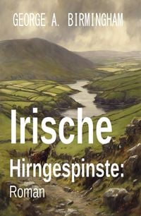 Produktbild: Irische Hirngespinste: Roman