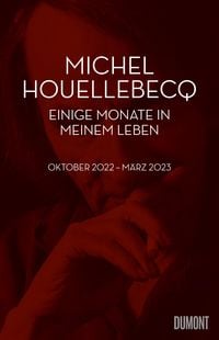 Produktbild: Einige Monate in meinem Leben