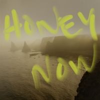 Bild vom Artikel Honey Now vom Autor Neon Waltz