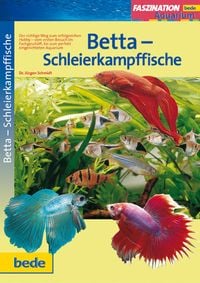 Produktbild: Betta-Schleierkampffische