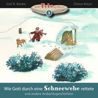 Produktbild: Wie Gott durch eine Schneewehe rettete und andere Andachtsgeschichten