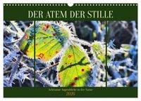 Produktbild: Der Atem der Stille - Achtsame Augenblicke in der Natur (Wandkalender 2026 DIN A3 quer), CALVENDO Monatskalender