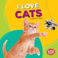 Produktbild: I Love Cats