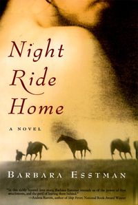 Produktbild: Night Ride Home