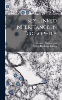 Produktbild: Sex-Linked Inheritance in Drosophila